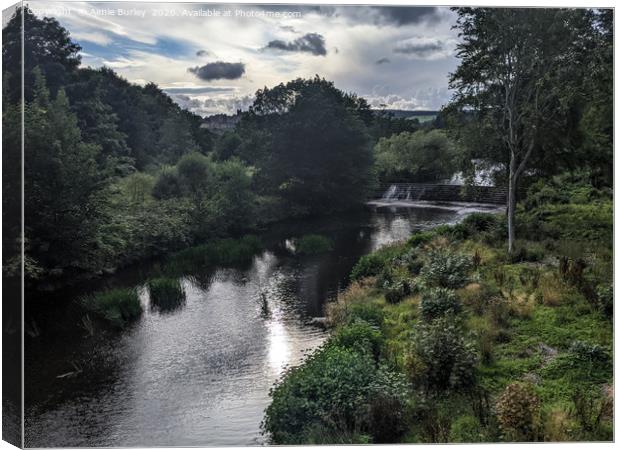 River Aln, Alnwick Canvas Print by Aimie Burley