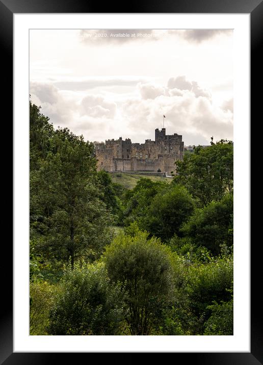 Alnwick Castle Framed Mounted Print by Aimie Burley