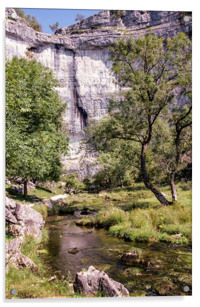 Malham Cove Acrylic by Svetlana Sewell