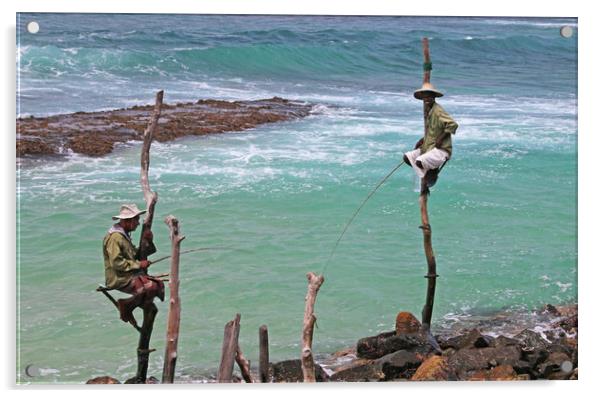 Majestic Stick Fisherman in Sri Lanka Acrylic by Simon Marlow