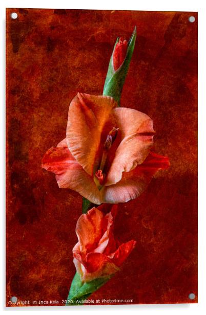 Gladioli Flowers on a Stem Acrylic by Inca Kala