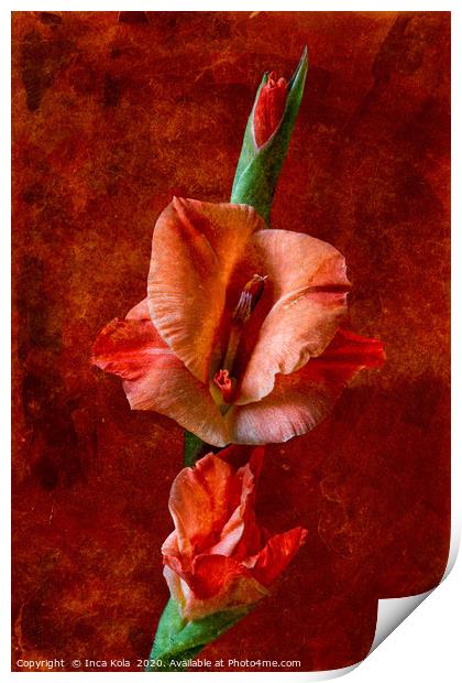 Gladioli Flowers on a Stem Print by Inca Kala