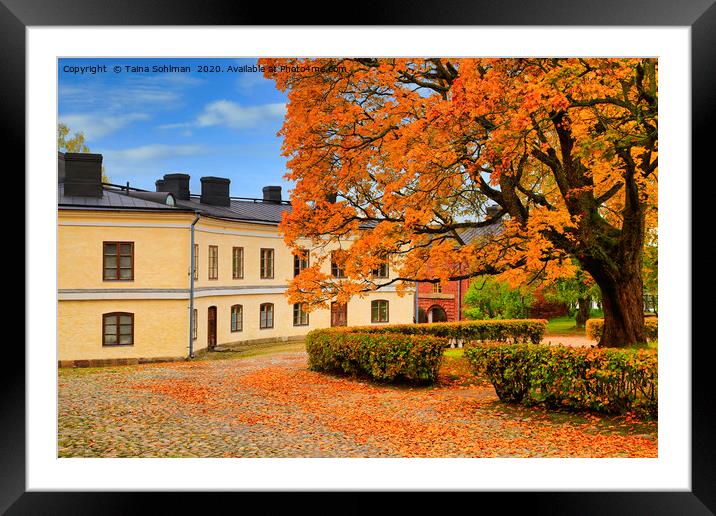 Suomenlinna Autumnal Landscape Framed Mounted Print by Taina Sohlman