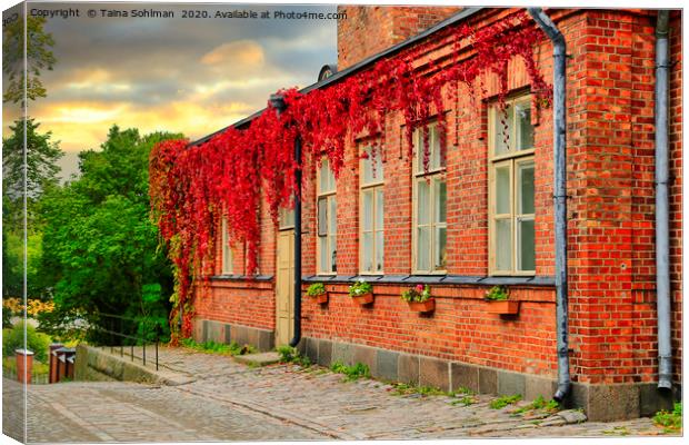Old Brick Building with Virginia Creeper at Autumn Canvas Print by Taina Sohlman