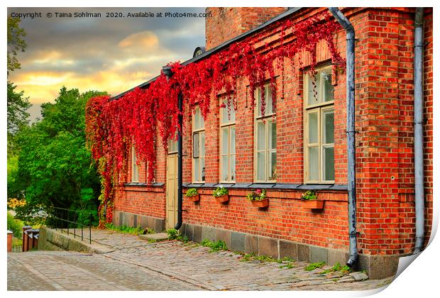 Old Brick Building with Virginia Creeper at Autumn Print by Taina Sohlman
