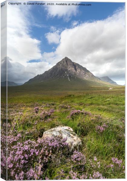 Clearing Storm Buachaille Etive Mor, Scotland Canvas Print by David Forster