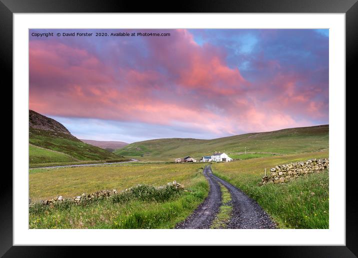 North Pennine Dawn, Teesdale, County Durham Framed Mounted Print by David Forster