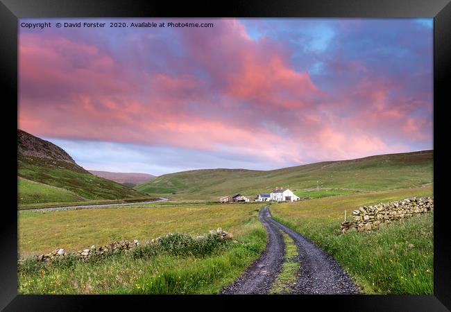 North Pennine Dawn, Teesdale, County Durham Framed Print by David Forster