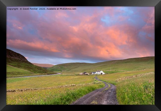 North Pennine Dawn, Teesdale, County Durham Framed Print by David Forster