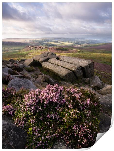 Higger Tor Heather Print by David Semmens