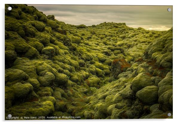 Eldhraun Lava Field in Iceland Acrylic by Pere Sanz