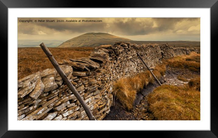 Pen-y-ghent and the Yorkshire 3 Peaks Framed Mounted Print by Peter Stuart