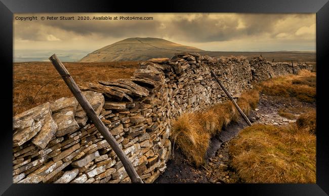 Pen-y-ghent and the Yorkshire 3 Peaks Framed Print by Peter Stuart