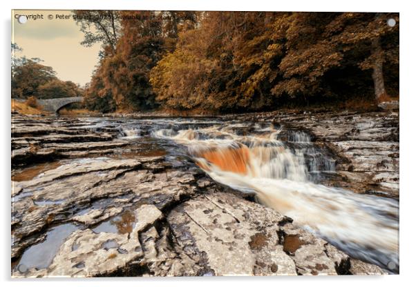 Stainforth Force, North Yorkshire Acrylic by Peter Stuart