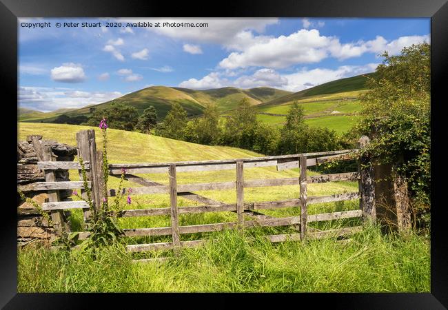 The Howgills and Sedbergh Framed Print by Peter Stuart