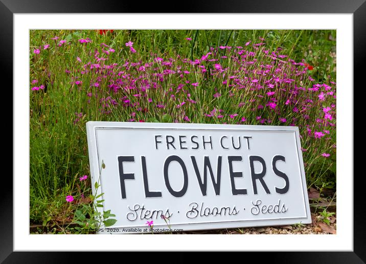 Garden flowers with fresh cut flower sign 0738 Framed Mounted Print by Simon Bratt LRPS