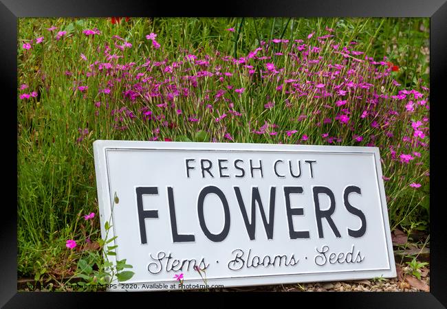 Garden flowers with fresh cut flower sign 0738 Framed Print by Simon Bratt LRPS