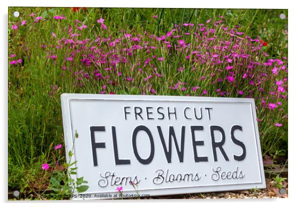 Garden flowers with fresh cut flower sign 0738 Acrylic by Simon Bratt LRPS