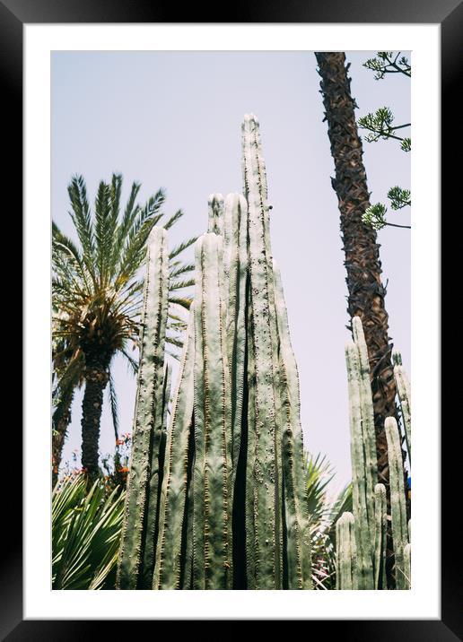 Cactus and Palm Trees Framed Mounted Print by Patrycja Polechonska