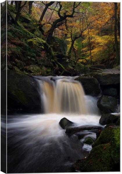 Padley Gorge in Autumn, Peak District Canvas Print by Jules Taylor