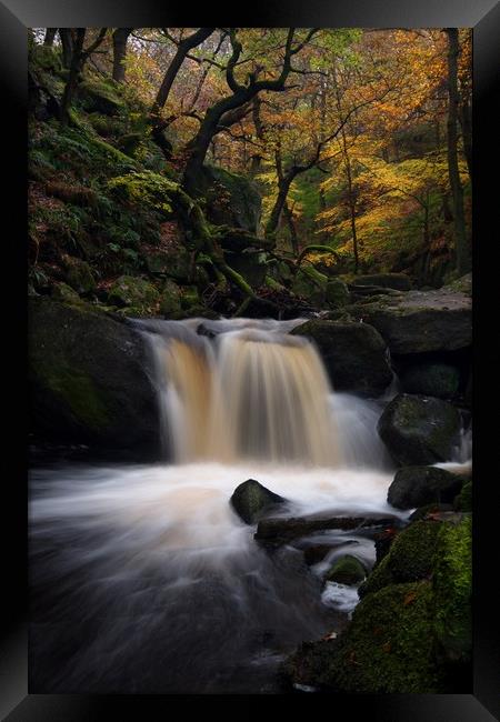 Padley Gorge in Autumn, Peak District Framed Print by Jules Taylor