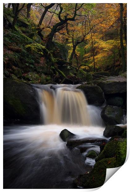Padley Gorge in Autumn, Peak District Print by Jules Taylor