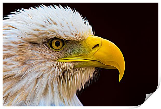 Portrait of a Bald Eagle Print by Jason Wells