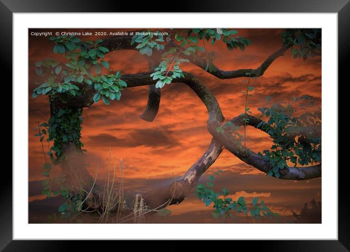 A Possible Dream Framed Mounted Print by Christine Lake