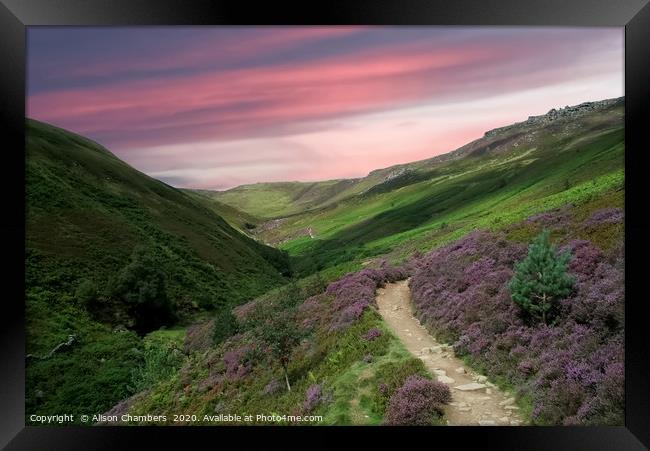 Grindsbrook in Bloom  Framed Print by Alison Chambers