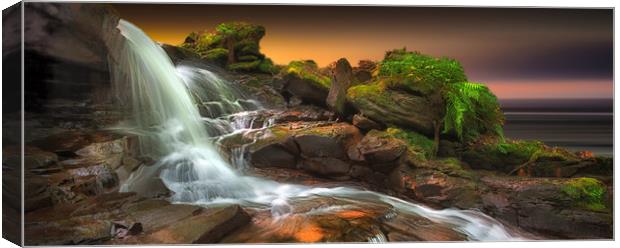 Melincourt Brook Canvas Print by Leighton Collins