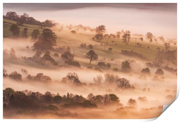 Hope Valley trees at sunrise Print by John Finney