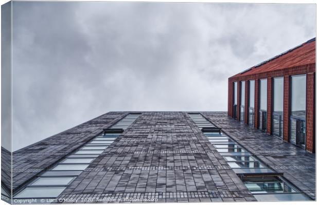 Looking Up The Cargo Building Canvas Print by Liam Neon