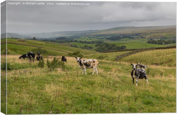 A Damp Day in Upper Teesdale Canvas Print by Richard Laidler
