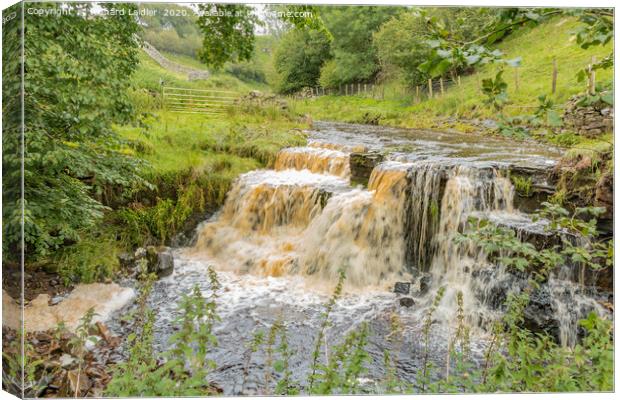 A Swollen Beck Waterfall in Upper Teesdale Canvas Print by Richard Laidler