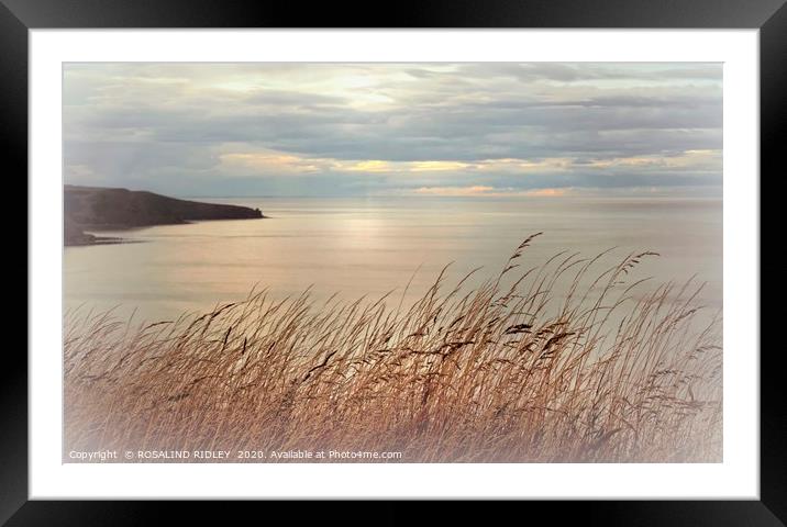 "Contemplation" Framed Mounted Print by ROS RIDLEY