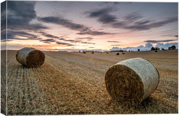 Summer Bales Canvas Print by Martin Williams