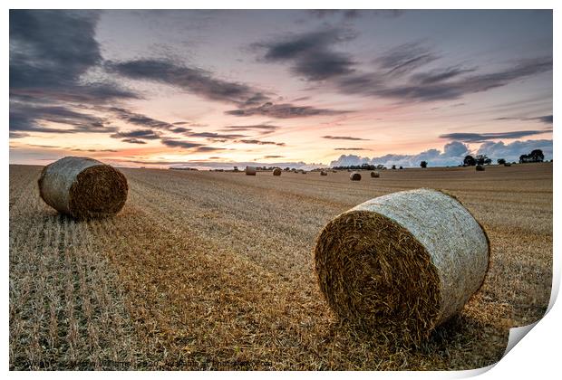 Summer Bales Print by Martin Williams