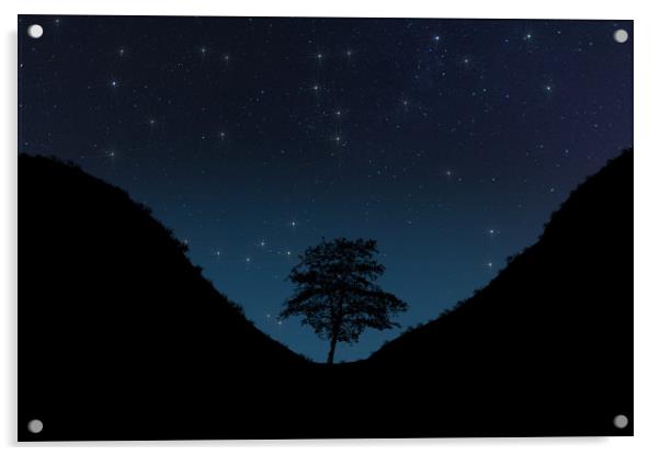Sycamore Gap Night Sky Digital Acrylic by Steve Purnell
