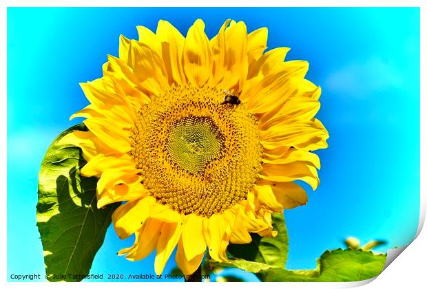  Bee attracted to the sunflower Print by Julie Tattersfield
