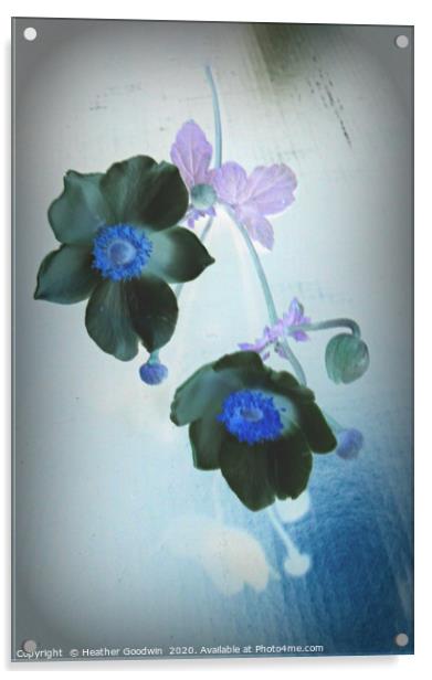 Japanese Anemones Acrylic by Heather Goodwin