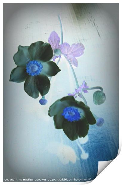Japanese Anemones Print by Heather Goodwin
