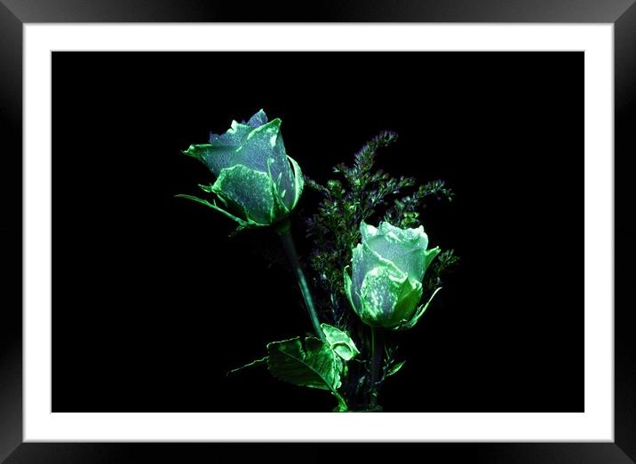 Ultraviolet light reveals alien-like colors and fa Framed Mounted Print by Paul Herron