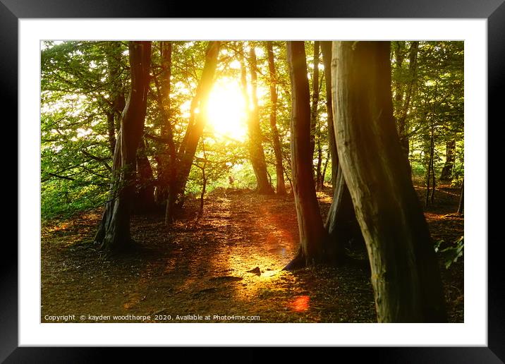                   the sun says hello to pods wood  Framed Mounted Print by kayden woodthorpe