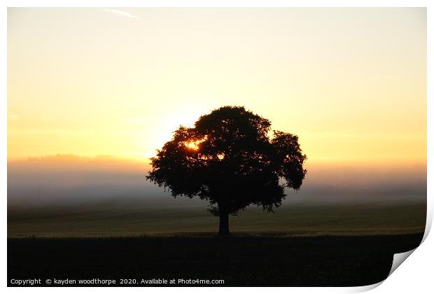         Messing Tree in the Morning Mist           Print by kayden woodthorpe