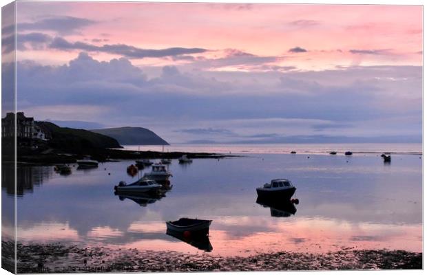Pink evening sunset  Pembrokeshire Canvas Print by Julie Tattersfield