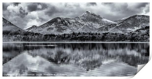 Serene Winter Wonderland Print by David Thomas