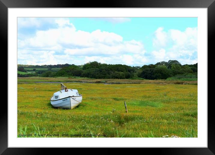 Snowgoose rowing boat at the Parrog, Pembrokeshire Framed Mounted Print by Julie Tattersfield