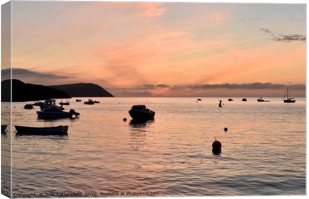 Pink sunset at the Parrog, Newport Pembrokeshire  Canvas Print by Julie Tattersfield
