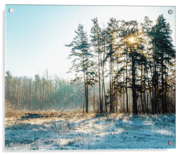 frost onset Acrylic by Maria Galushkina