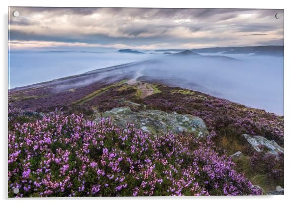 Wild heather on Win Hill, Derbyshire Acrylic by John Finney